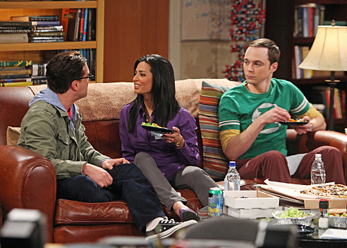 Big Bang Theory Priya Porn - The Big Bang Theory: Lovers' Quarrels | haligonia.ca