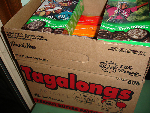 The Girl Scouts Social Media Fail