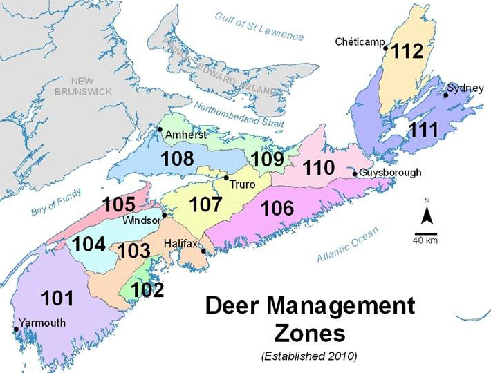 Apply Now For Antlerless Deer Hunting Stamp haligonia.ca
