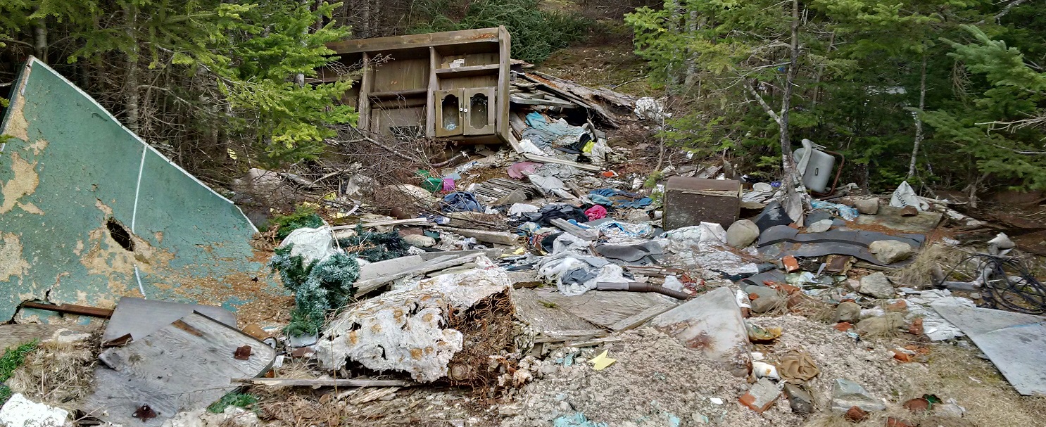 Halifax District RCMP is asking for public assistance with identifying